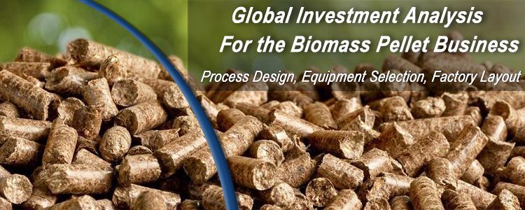 Global Investment Analysis for Biomass Pellets