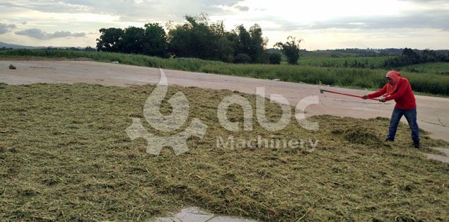 grass sun dry field of the biofuel pellet plant