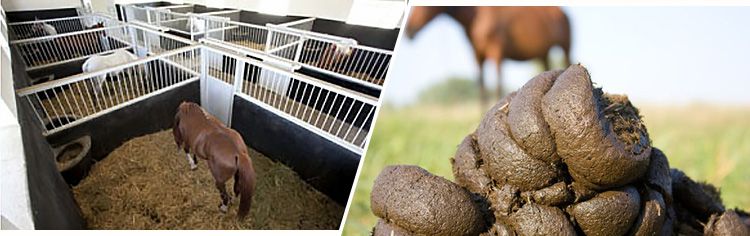 horse manure and bedding wastes used for biomass pellets production line