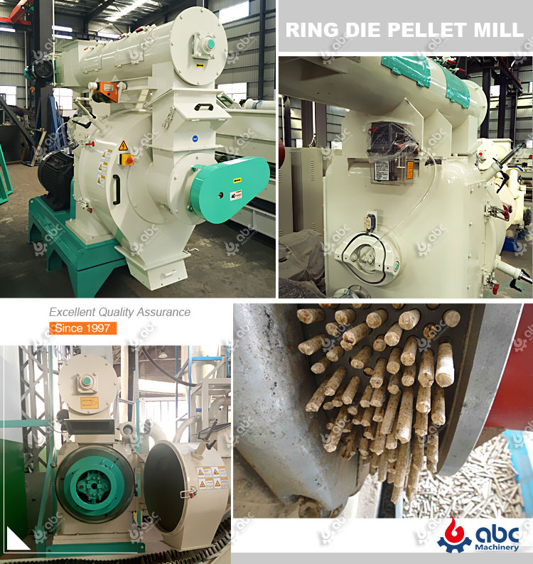 Indsutrial Cattle Feed Pellet Mill for Commerical Purpose