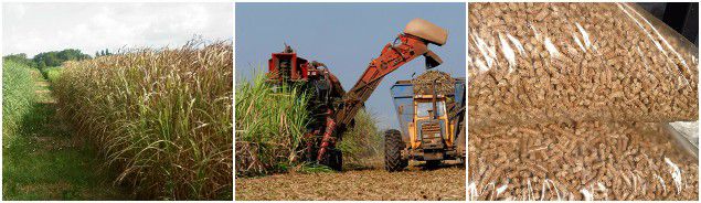 make bioenergy grass fuel pellets in commercial business production scale