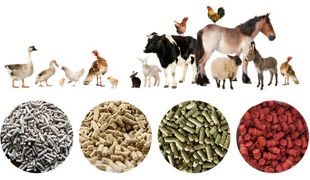 make feed pellets for poultry and cattle