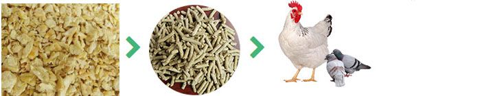 machines for making poultry feed pellets