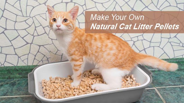 make your own natural cat litter pellets