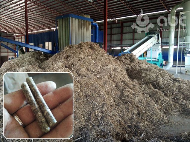 manufactured elephant grass pellets