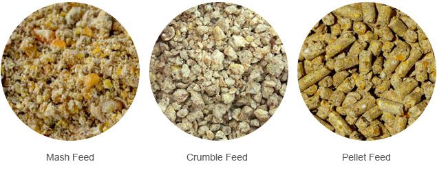 production lind of feed mash, feed crumbles and feed pellets