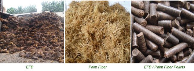 palm fiber efb pellets