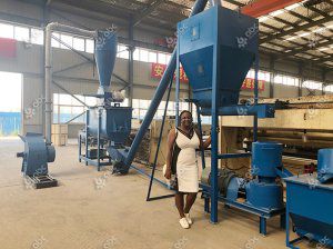 Pelleted Pig Feed Making Machine Arrived in Nigeria