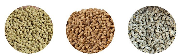 pig feed pellets making technology