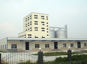 100 ton/h Poultry Feed Manufacturing Plant