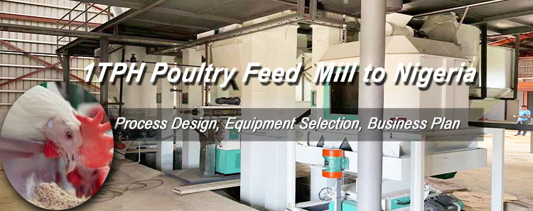 1TPH Poultry Feed Pellet Mill Delivered to Nigeria