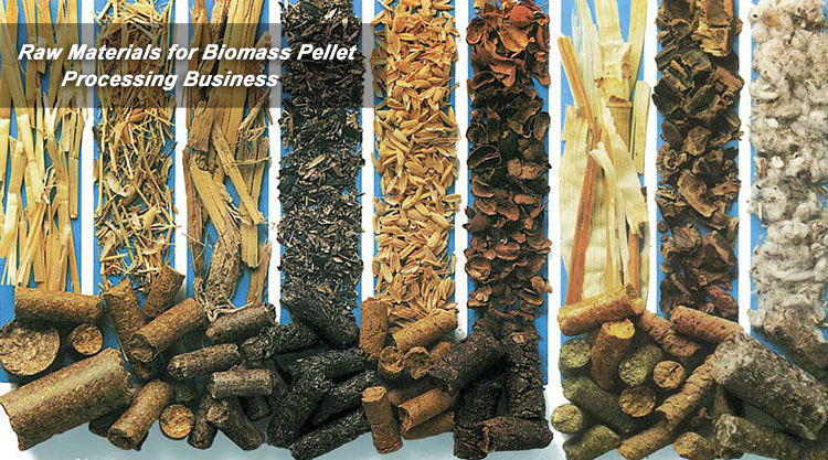 Raw Materials for Biomass Wood Pellet Processing Business