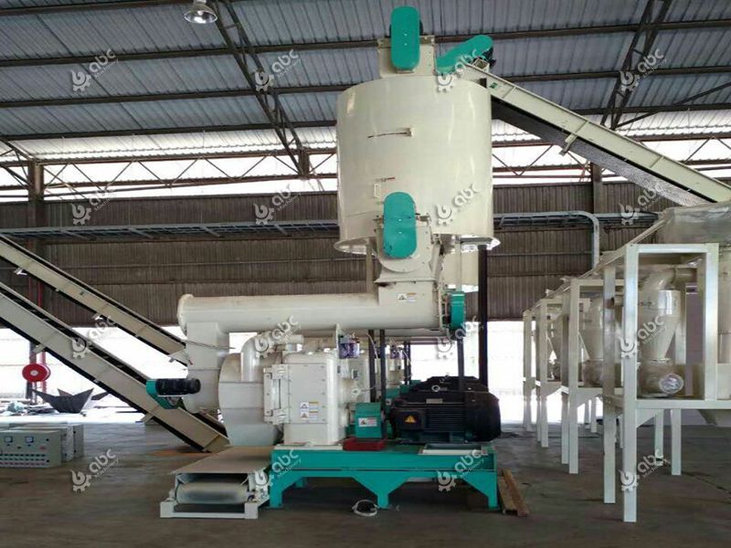 Ring Die Pellet Press on the Complete Wood Pellets Production Line