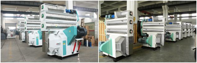 Ring Die Wood Pellets Machine