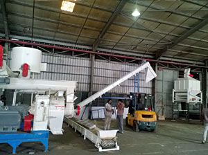 3TPH Sawdust Pellet Machine Line Set Up in Malaysia