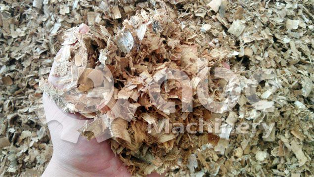 wood shavings from wood processing factory