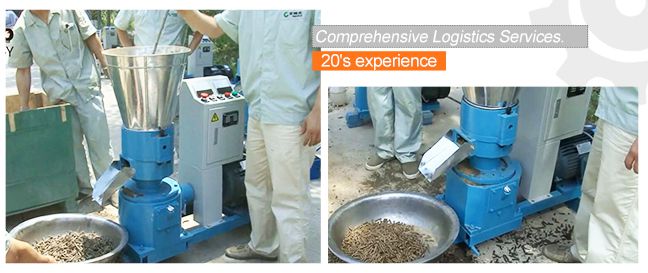 Small Bird Feed Pellet Making Machine