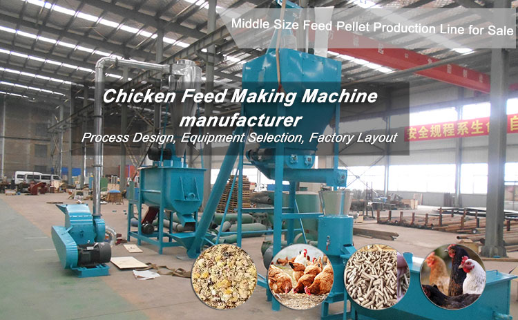 How to Start a Middle Size Feed Pellet Making Plant for poultry and Chicken? 