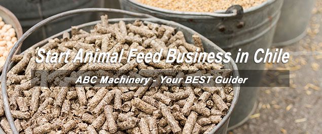 start animal feed manufacturing company