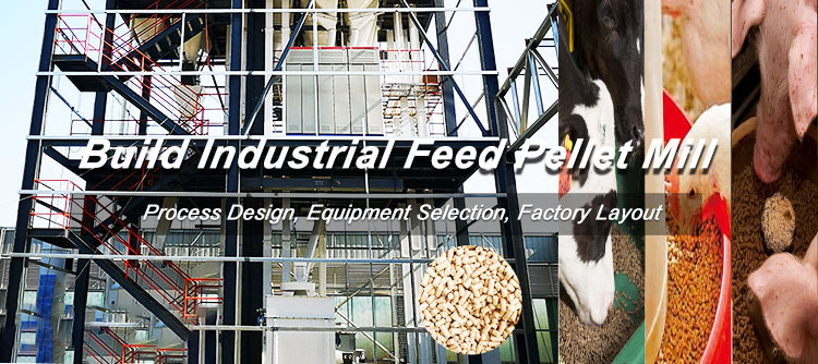 How to Start Large Industrial Feed Pellet Milling Project?