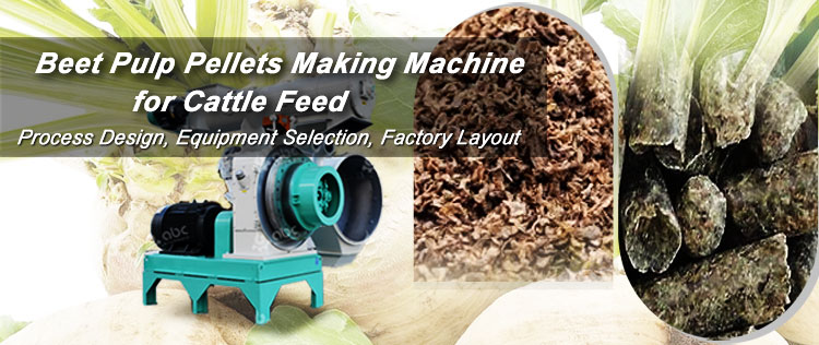 Profitable Investment：Sugar Beet Pulp Pellet for Cattle Feed