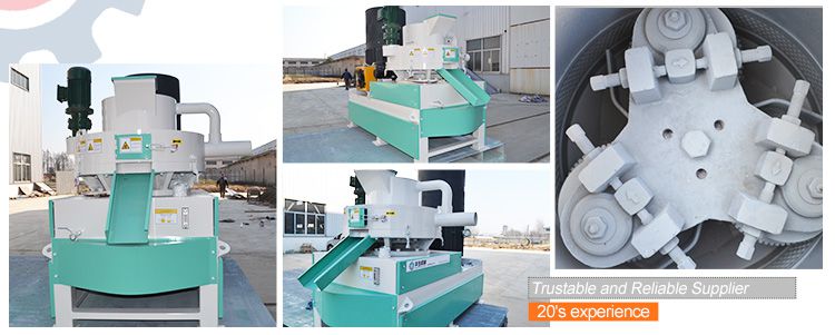 Sugarcane Bagasse Pellet Making Machine