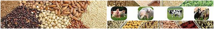 Master Animal Feed Raw Materials