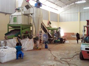 1TPH Wood Pellet Manufacturing Plant in Thailand