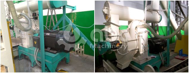 wood pellet production equipment for the pelleting project