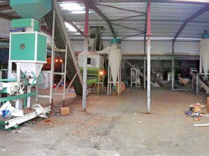 1TPH Wood Pellet Production Plant in UK